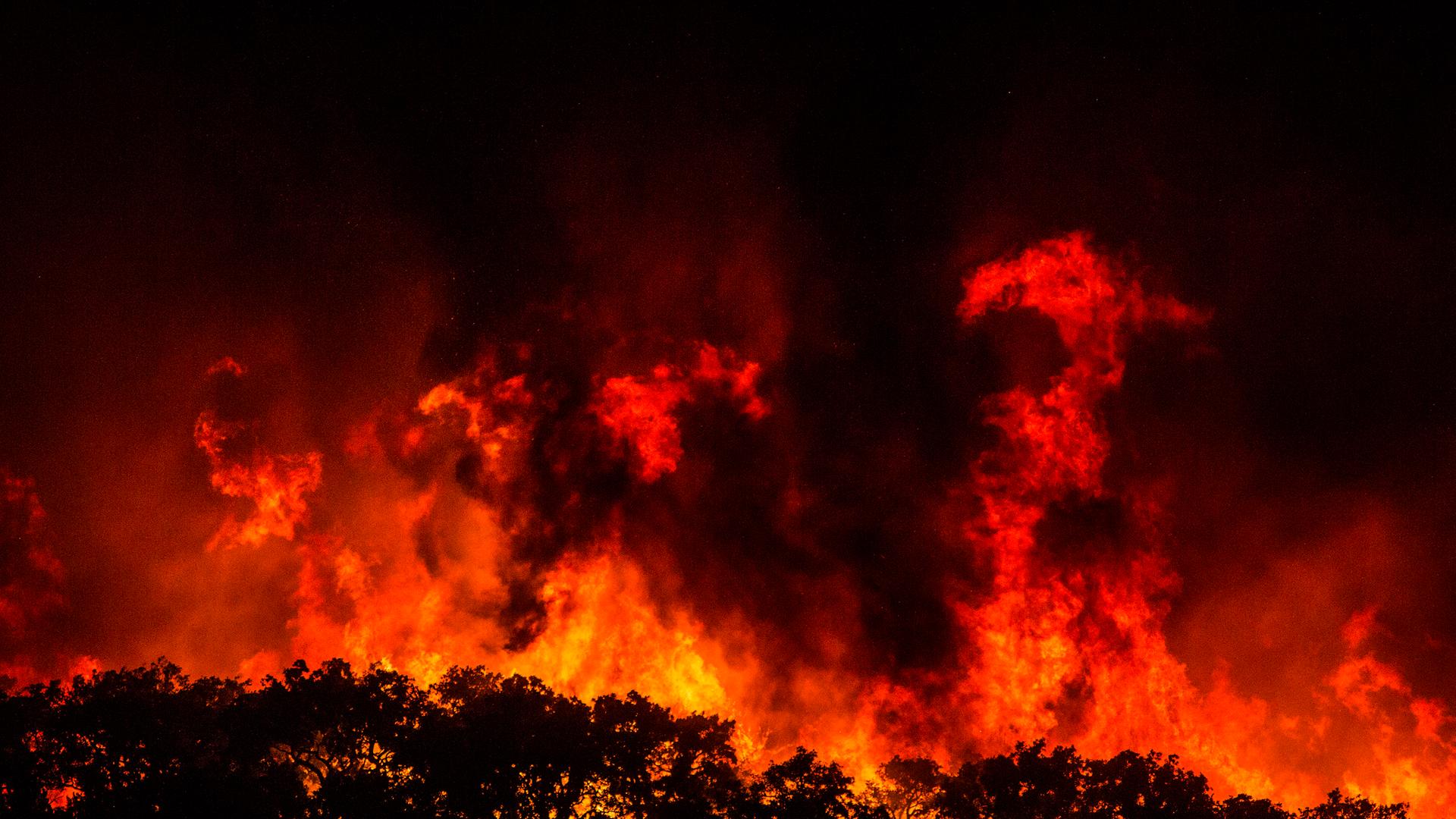 Einzelne Bäume ragen wie Scheerenschnitte vor einer hohe Wand aus Flammen hervor in einem Waldgebiet in Portugal. Einzelne Bäume ragen wie Scheerenschnitte vor einer hohe Wand aus Flammen hervor in einem Waldgebiet in Portugal.