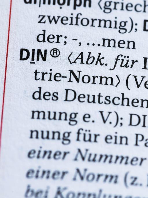 Der Duden-Eintrag des Wortes "DIN" (Deutsche Industrie-Norm)