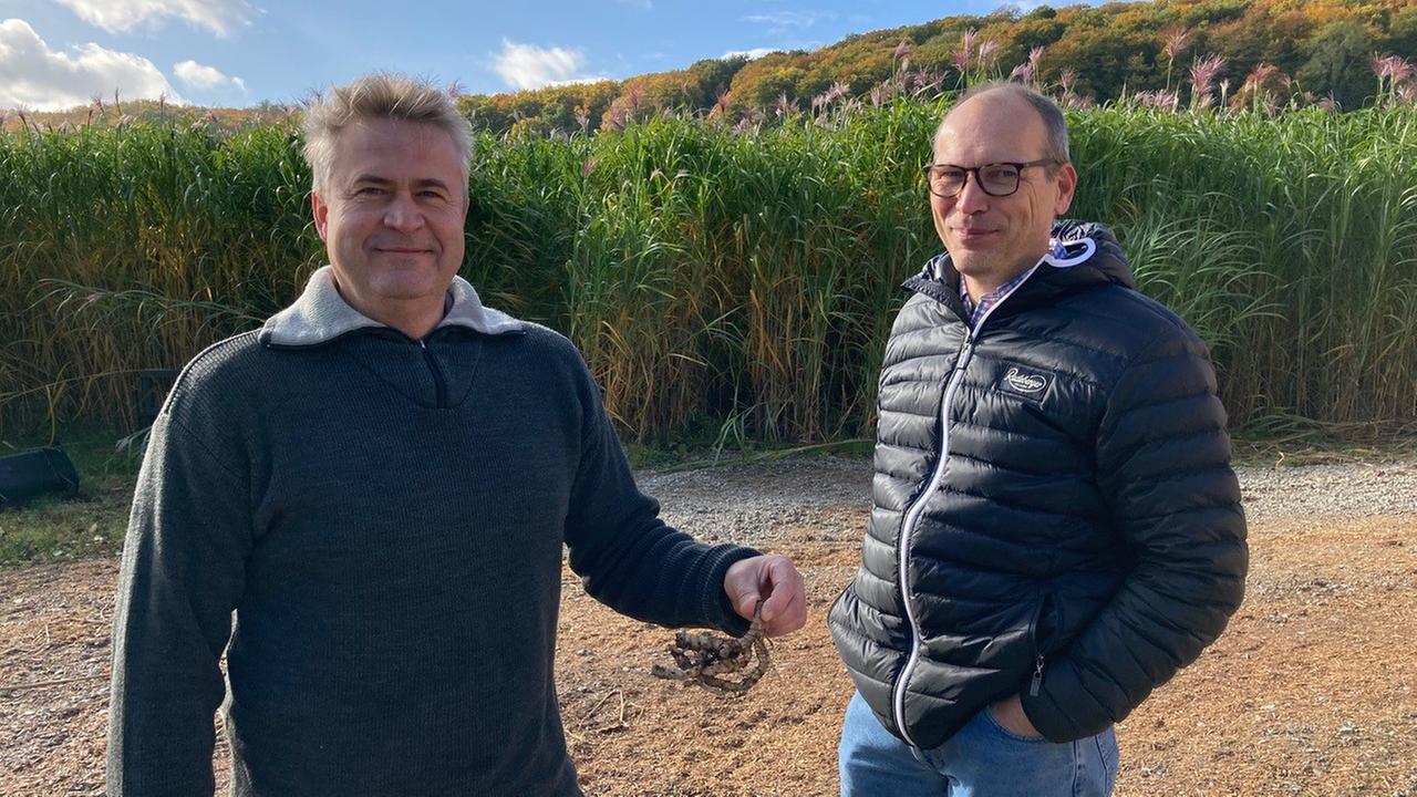 Thomas Stöber (l.) und Timo Meyer vor einem Feld mit Miscanthus-Gras