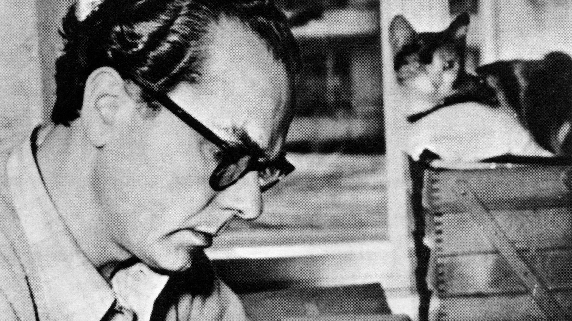 Schwarzweißaufnahme von Arno Schmidt an seinem Arbeitsplatz. Er sieht seinen Zettelkasten durch, im Bildhintergrund liegt eine Katze. Schwarzweißaufnahme von Arno Schmidt an seinem Arbeitsplatz. Er sieht seinen Zettelkasten durch, im Bildhintergrund liegt eine Katze.