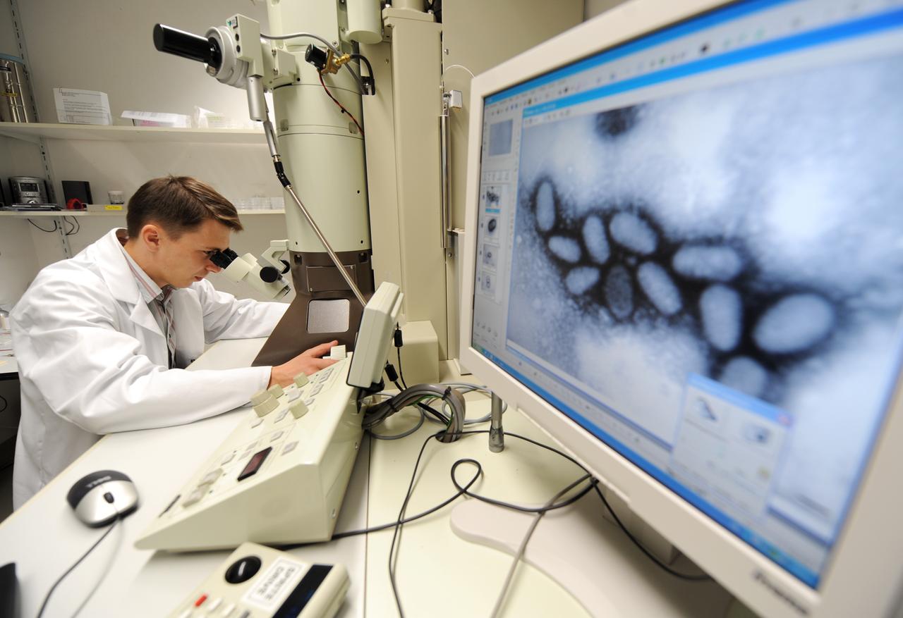 Im Chemischen und Veterinäruntersuchungsamt (CVUA) Stuttgart wird unter einem Elektronenmikroskop einen Pockenvirus von einem Schaf untersucht. Im Chemischen und Veterinäruntersuchungsamt (CVUA) Stuttgart wird unter einem Elektronenmikroskop einen Pockenvirus von einem Schaf untersucht.