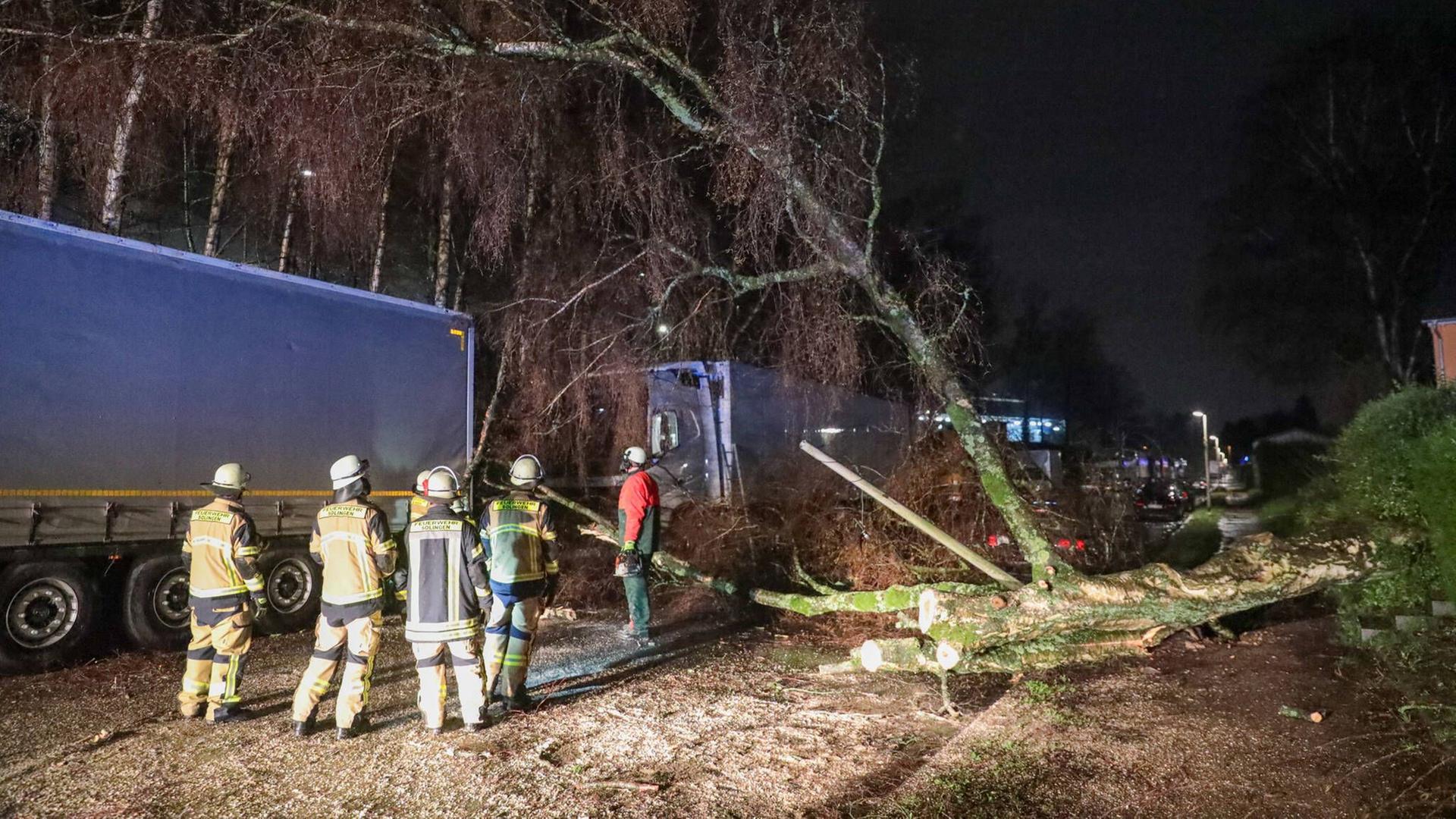 Ein Baum ist durch den Sturm auf mehrere Fahrzeuge gekippt. Ein Baum ist durch den Sturm auf mehrere Fahrzeuge gekippt.
