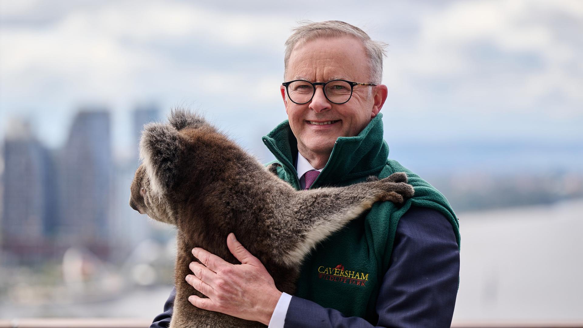Der australische Premierminister Anthony Albanese hält bei einem Fototermin einen Koala auf dem Arm. Der australische Premierminister Anthony Albanese hält bei einem Fototermin einen Koala auf dem Arm.