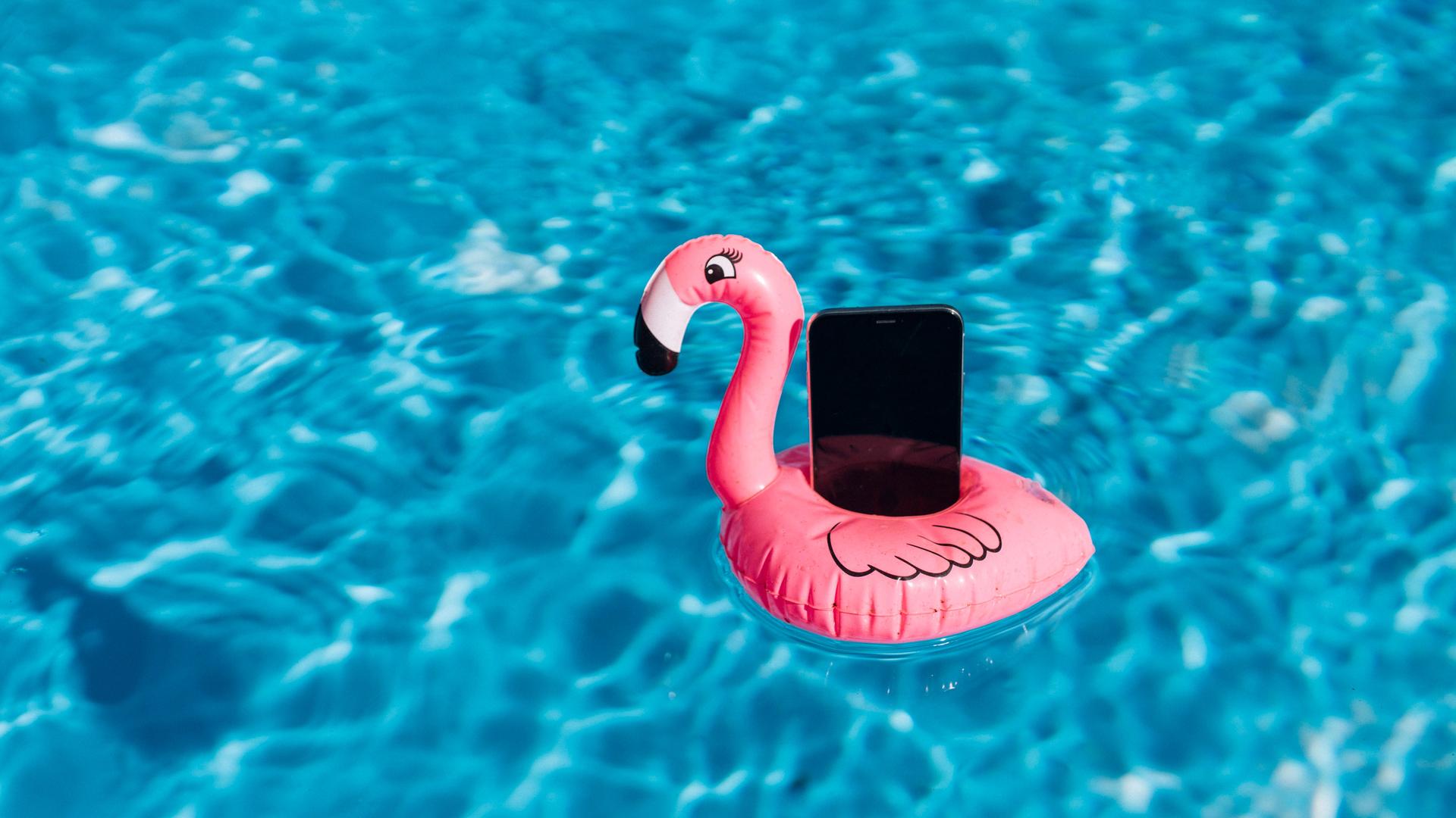 Ein Smartphone auf einem Gummi-Flamingo in einem Pool. Ein Smartphone auf einem Gummi-Flamingo in einem Pool.