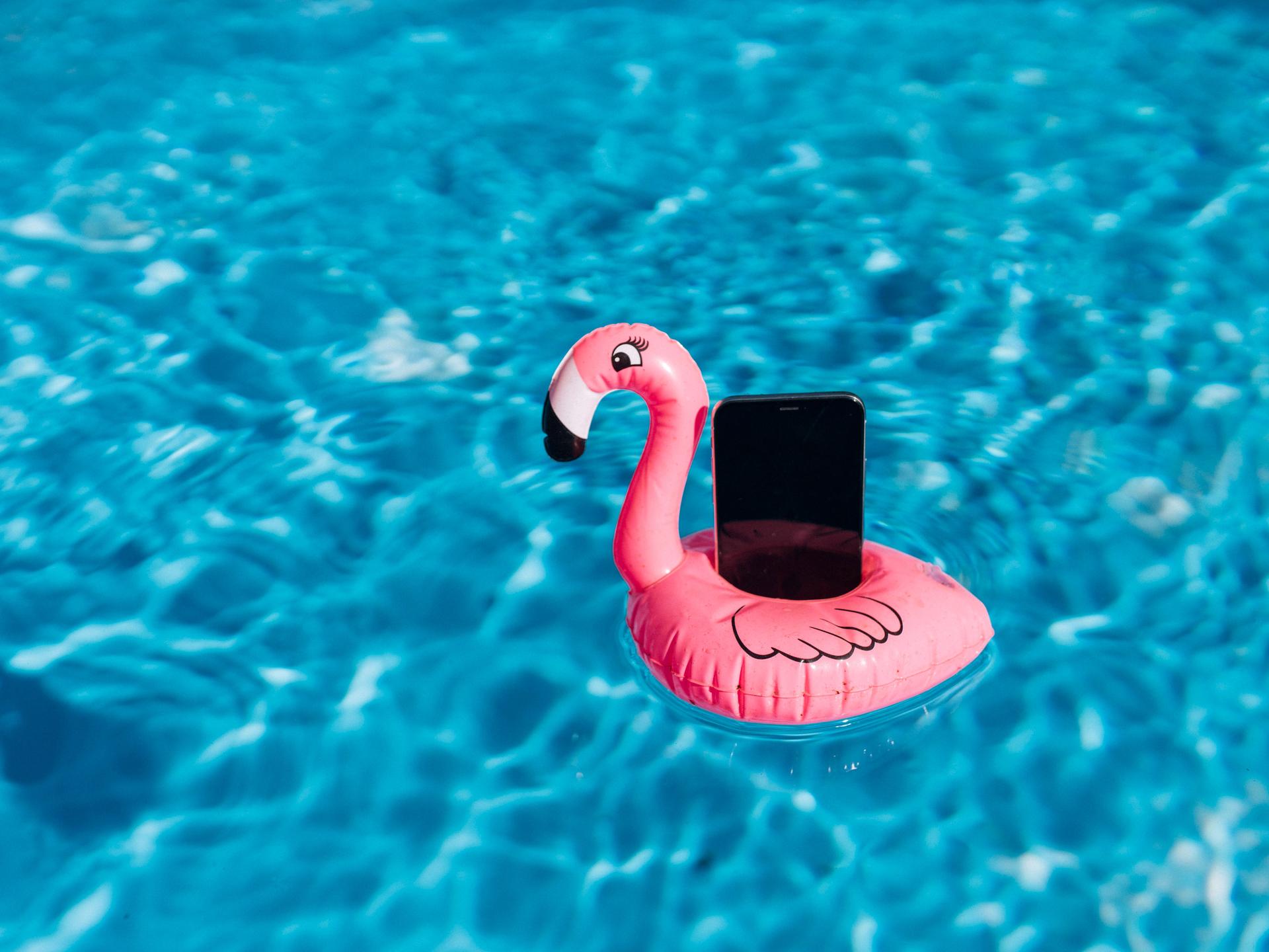 Ein Smartphone auf einem Gummi-Flamingo in einem Pool.
