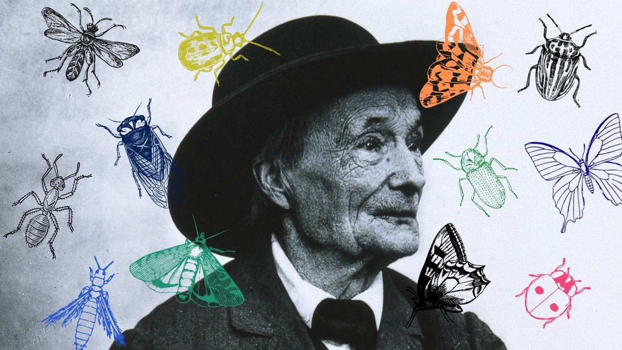 Eine Collage vom Portrait Jean-Henri Fabre mit Insekten. Eine Collage vom Portrait Jean-Henri Fabre mit Insekten.