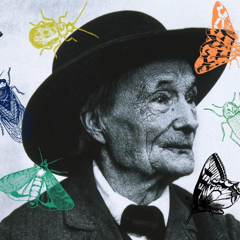 Eine Collage vom Portrait Jean-Henri Fabre mit Insekten. Eine Collage vom Portrait Jean-Henri Fabre mit Insekten.