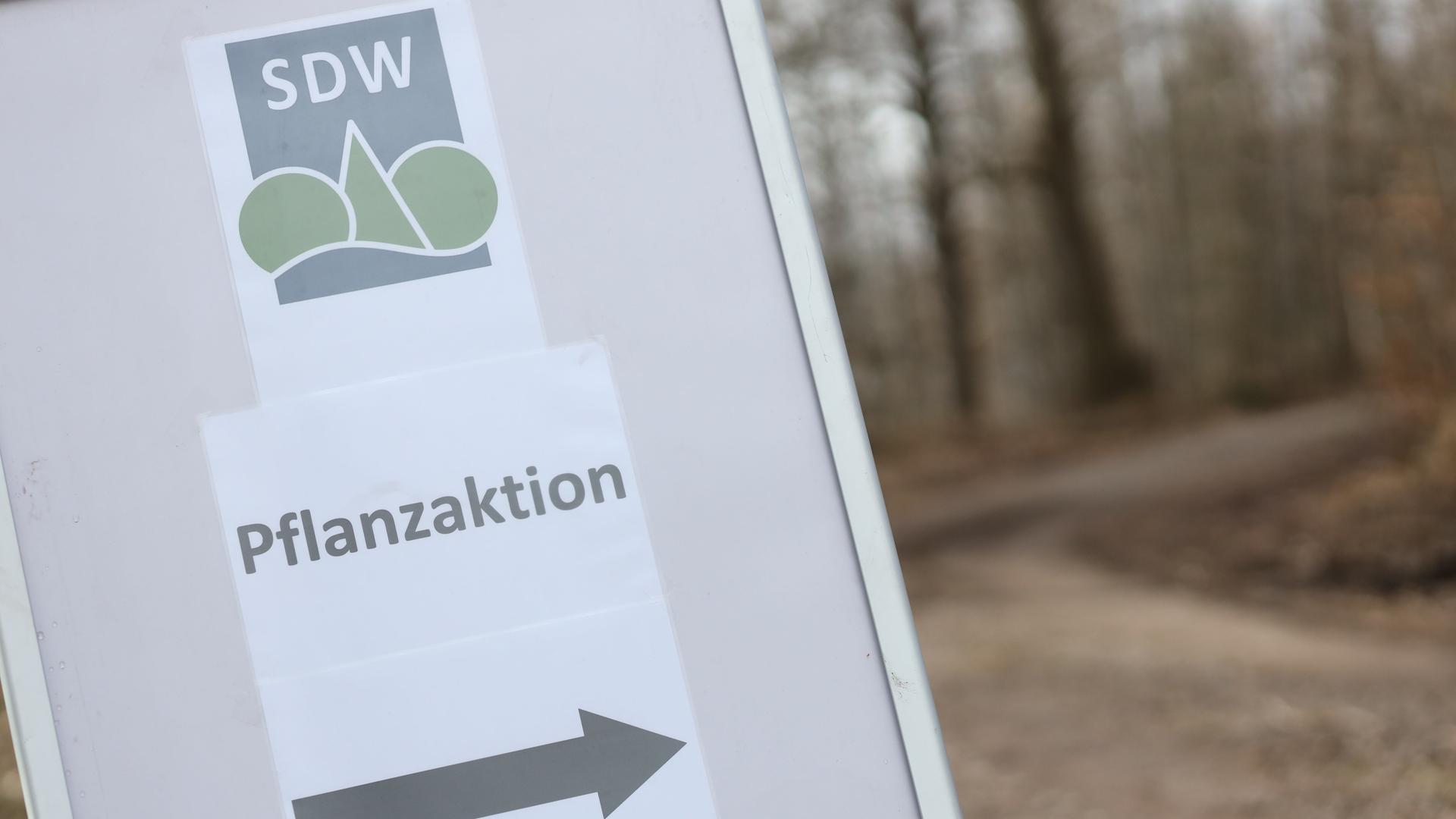 Ein Hinweisschild mit der Aufschrift "Pflanzaktion" unter dem Logo der Schutzgemeinschaft Deutscher Wald" steht an der Zufahrt zum Stadtwaldgebiet der Stadt Wernigerode. Sie zählt zu großen kommunalen Waldbesitzern in Deutschland.