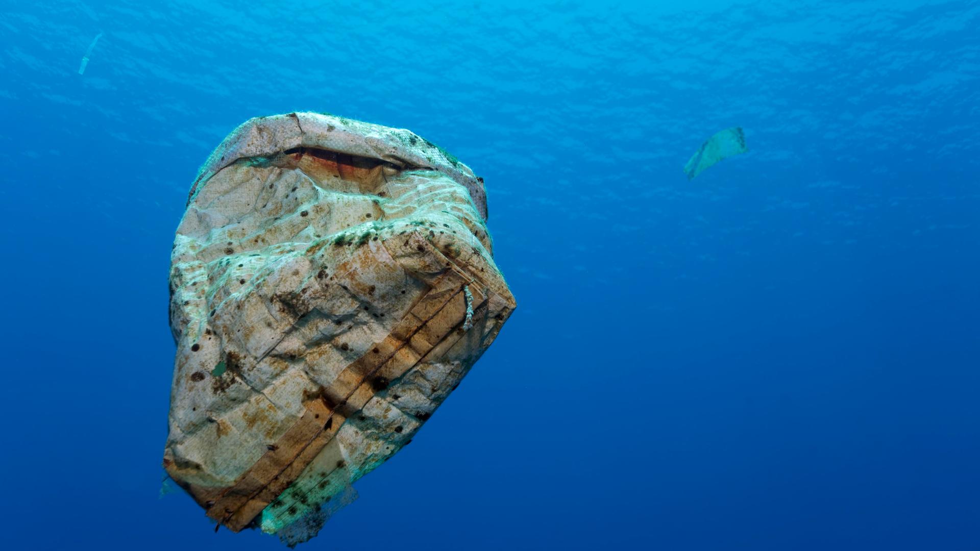 Plastikmüll treibt im offenen Meer, Wakatobi Island, Tukangbesi-Archipel, Wakatobi National Park, UNESCO Weltnaturerbe, Bandasee, Südost-Sulawesi, Indonesien, Asien Plastikmüll treibt im offenen Meer, Wakatobi Island, Tukangbesi-Archipel, Wakatobi National Park, UNESCO Weltnaturerbe, Bandasee, Südost-Sulawesi, Indonesien, Asien