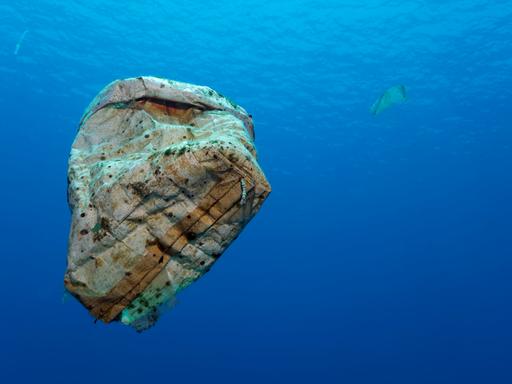 Plastikmüll treibt im offenen Meer, Wakatobi Island, Tukangbesi-Archipel, Wakatobi National Park, UNESCO Weltnaturerbe, Bandasee, Südost-Sulawesi, Indonesien, Asien