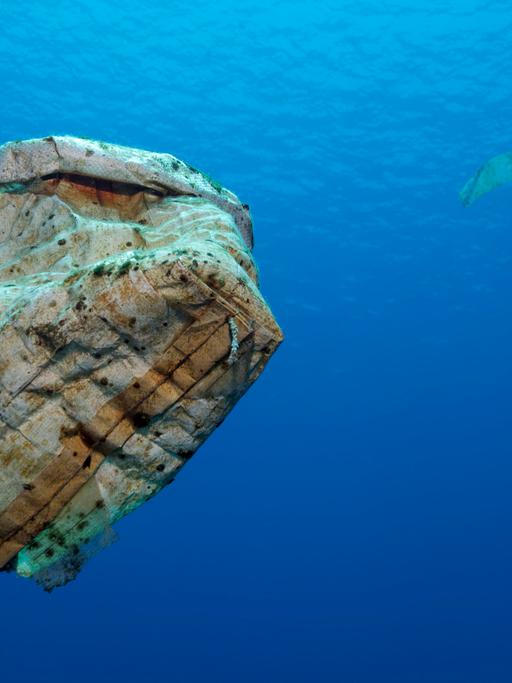 Plastikmüll treibt im offenen Meer, Wakatobi Island, Tukangbesi-Archipel, Wakatobi National Park, UNESCO Weltnaturerbe, Bandasee, Südost-Sulawesi, Indonesien, Asien