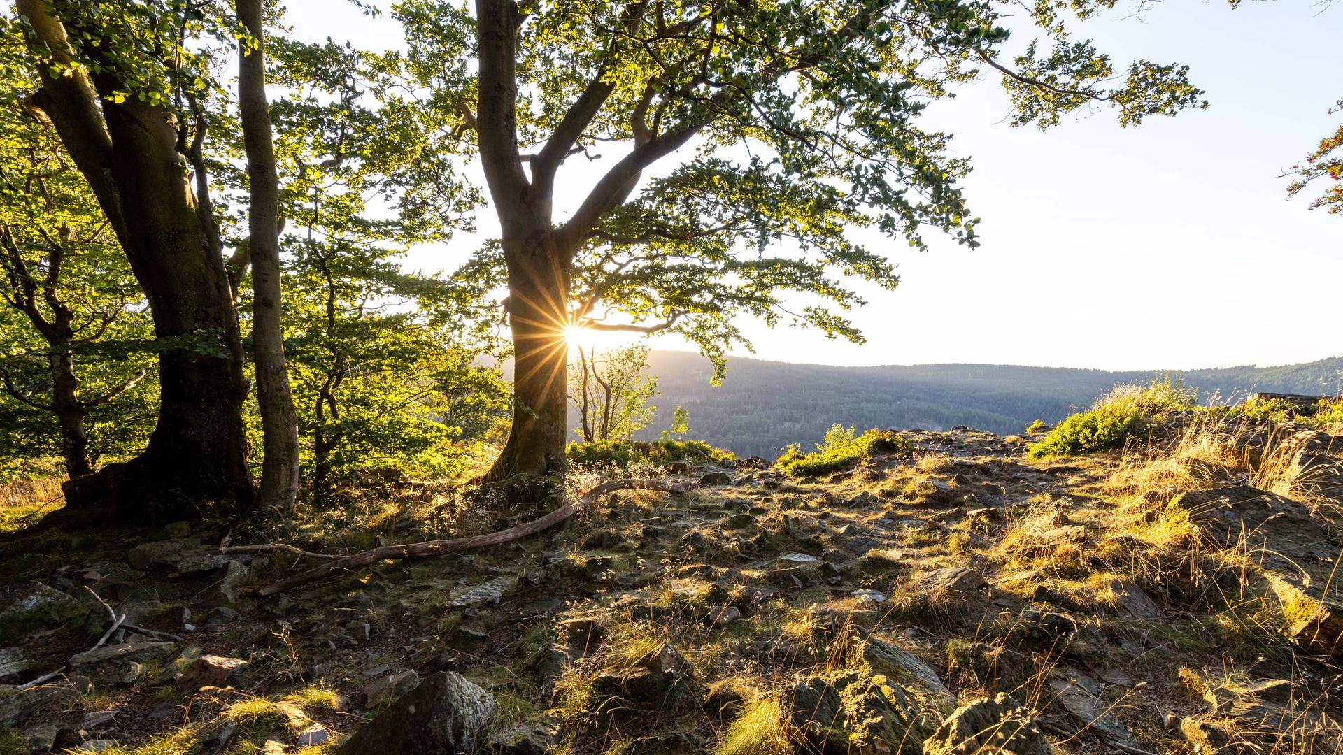 Ein Sommerabend im Taunus. Schön anzusehen, aber leider hat es viel zu wenig geregnet Ein Sommerabend im Taunus. Schön anzusehen, aber leider hat es viel zu wenig geregnet