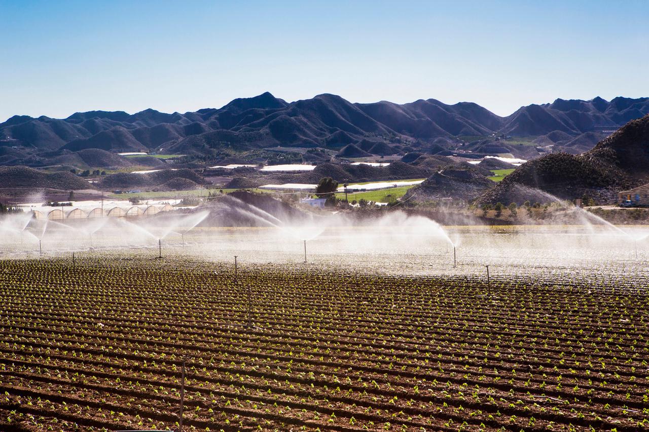 Felder in Spanien werden bewässert.