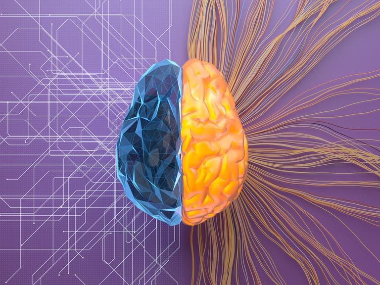 Illustration von einem halb organischen und halb digitalen Gehirn.