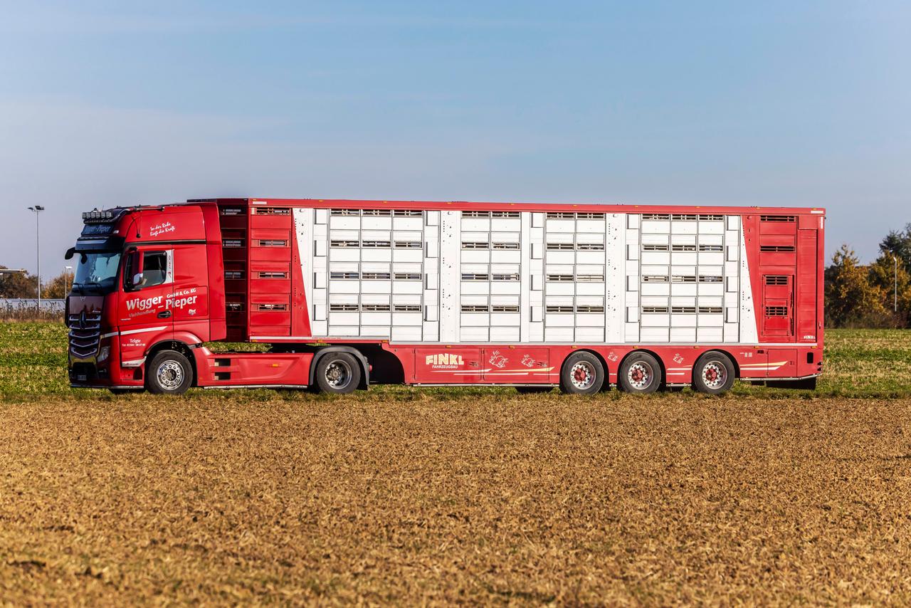 Viehtransporter Viehtransporter