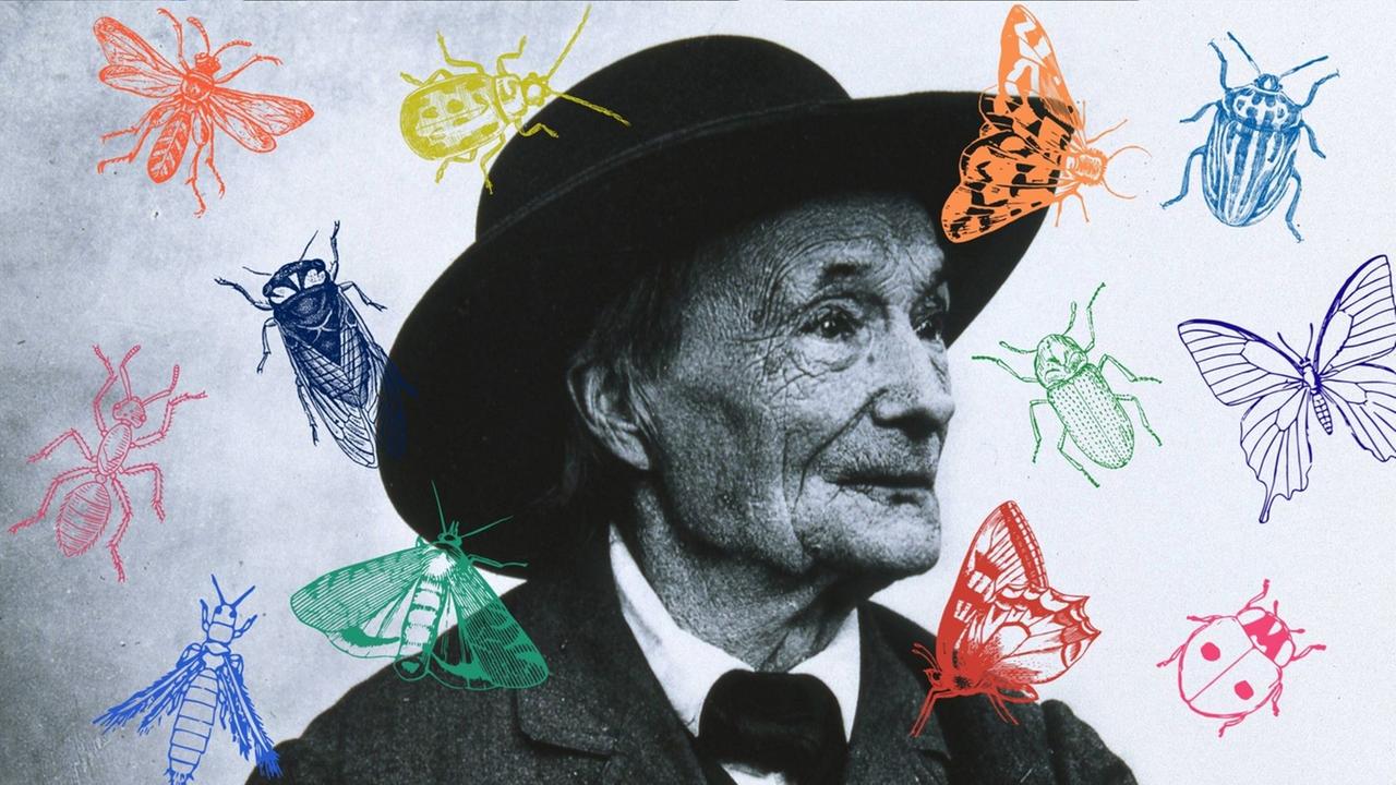 Eine Collage vom Portrait Jean-Henri Fabre mit Insekten. Eine Collage vom Portrait Jean-Henri Fabre mit Insekten.