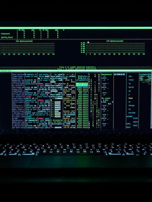 Inmitten des Konflikts mit Russland sind in der Ukraine offensichtlich erneut Internetseiten von Regierung und Banken angegriffen worden.
