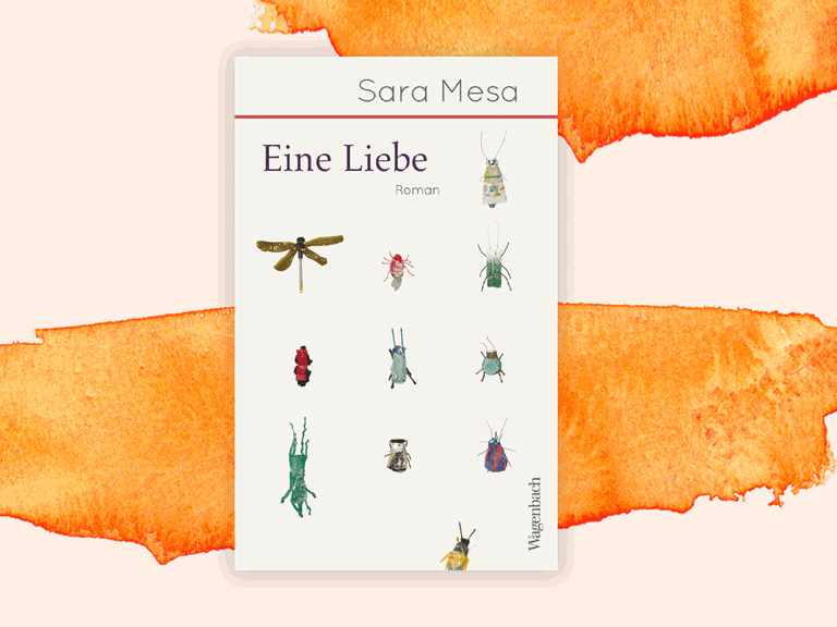 Cover von Sara Mesas "Eine Liebe". Auf dem Buchdeckel sind naturalistisch gezeichnete Insekten zu sehen.