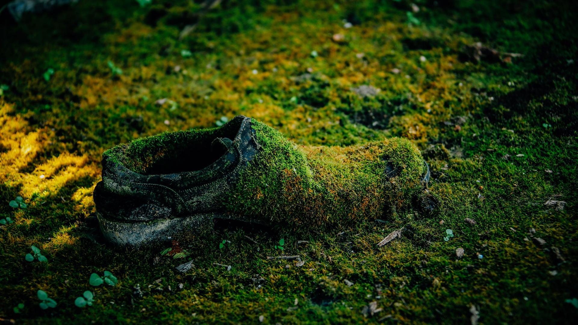 Was hatte der Tote mit dem umstrittenen Bau der Startbahn West zu tun? Zu sehen: Ein mit Moos bewachsener Herrenschuh auf einem Waldboden. Was hatte der Tote mit dem umstrittenen Bau der Startbahn West zu tun? Zu sehen: Ein mit Moos bewachsener Herrenschuh auf einem Waldboden.