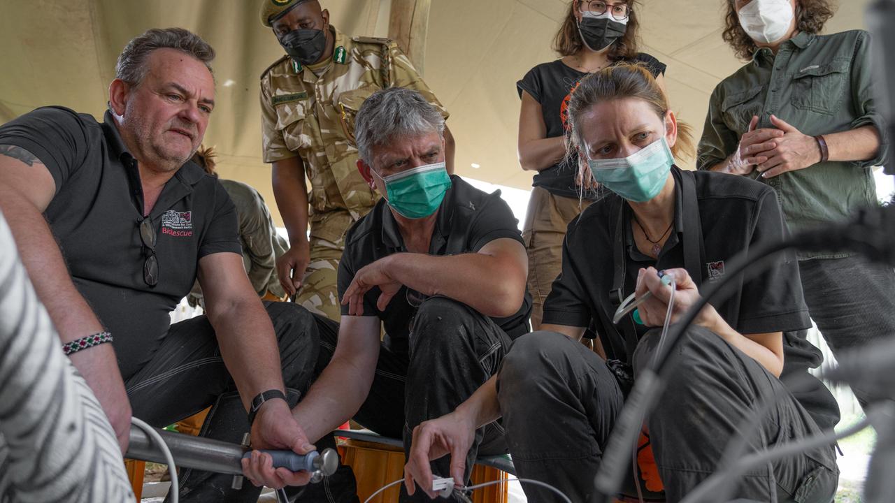 Frank Göritz, Isaac Lekolool, Thomas Hildebrand, Raffaella Simone, Susanne Holtze und Jan Stejskal (von links nach rechts) bei der Eizellen-Entnahme Frank Göritz, Isaac Lekolool, Thomas Hildebrand, Raffaella Simone, Susanne Holtze und Jan Stejskal (von links nach rechts) bei der Eizellen-Entnahme