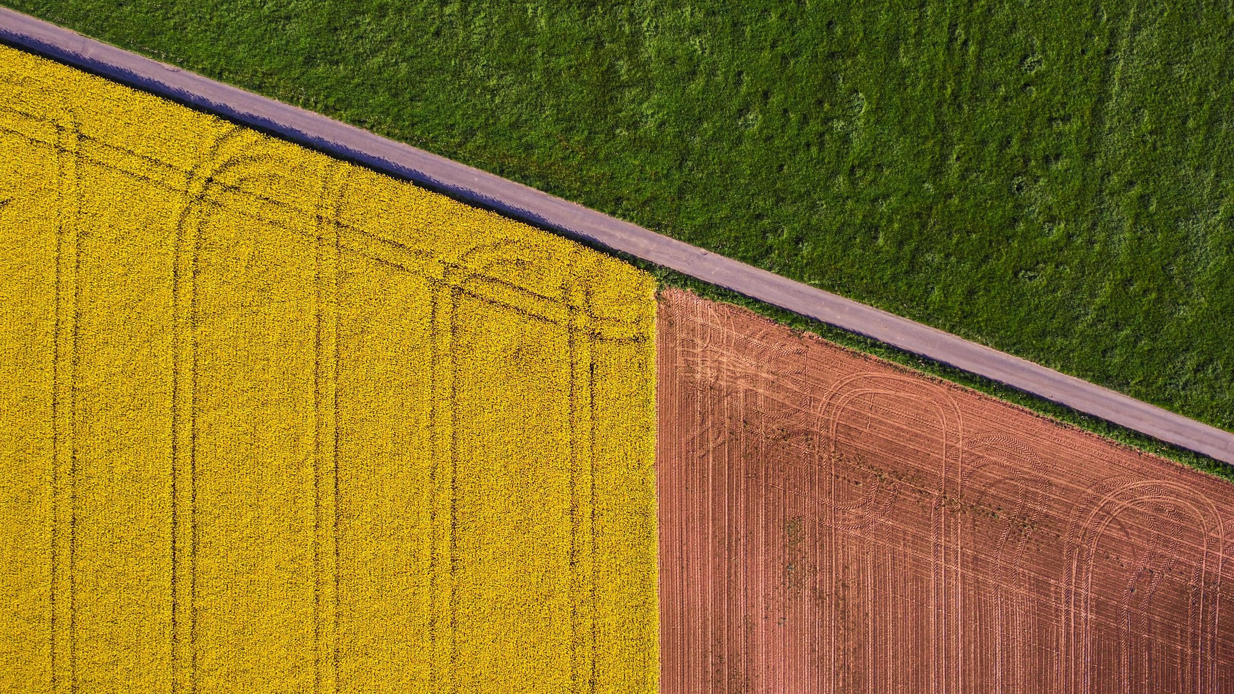 Landwirtschaftliche Felder in grün, gelb und braun sind aus der Vogelperspektive zu sehen, dazwischen führt eine Straße hindurch.