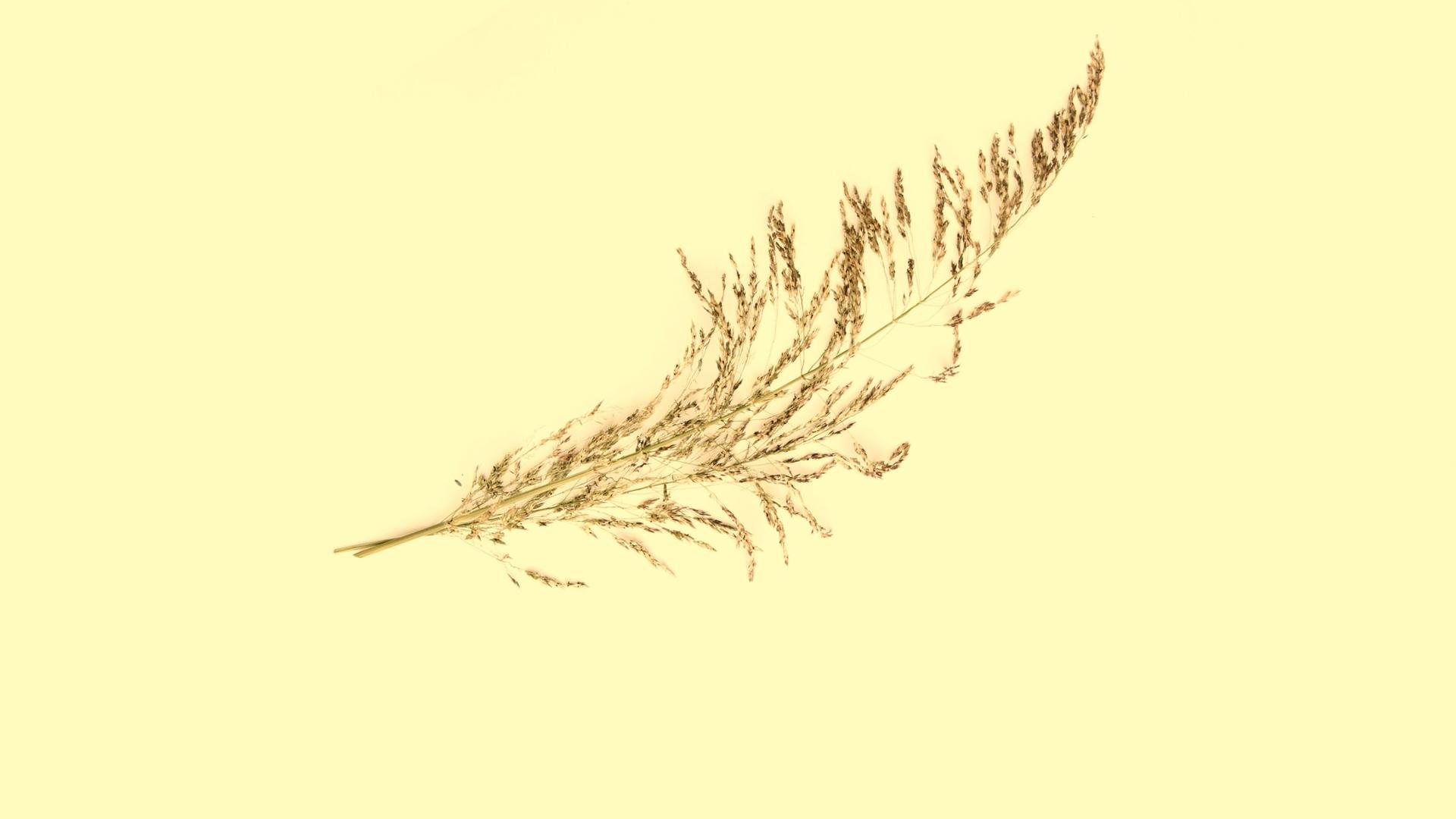 Zärtlichkeiten Zehn Kurzhörspiele über Nähe und Verbundenheit