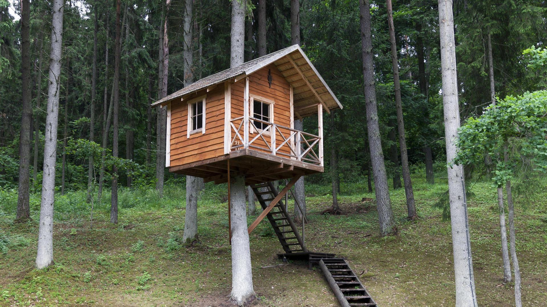 Ein Holzhaus im Wald. Ein Holzhaus im Wald.
