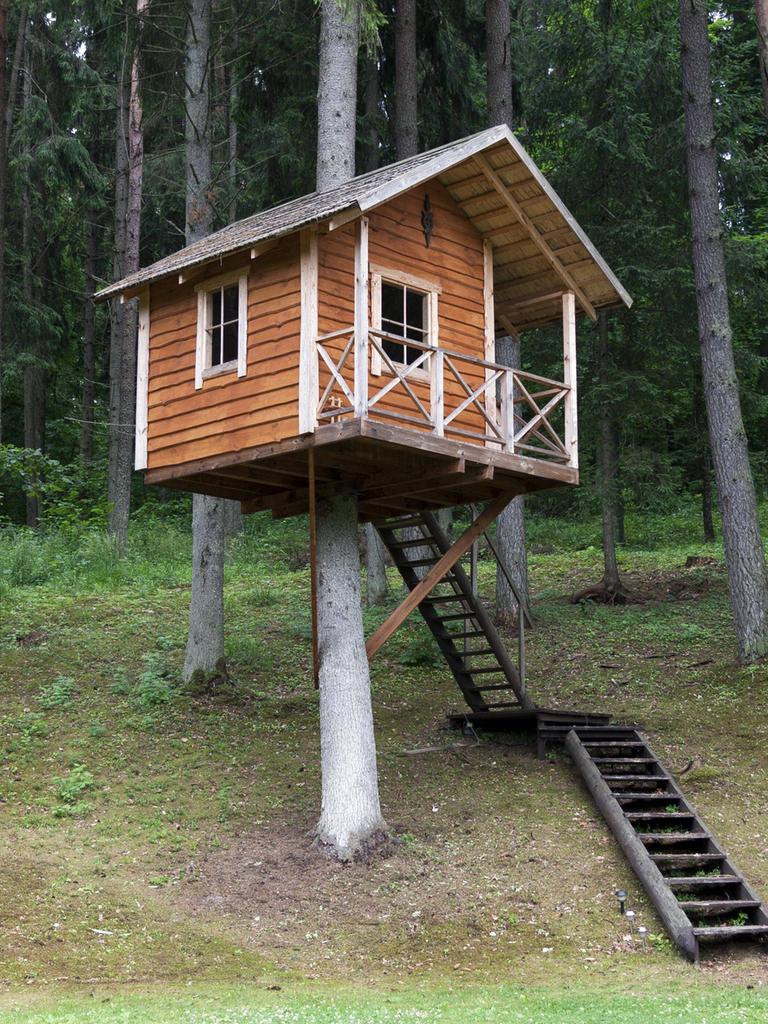 Ein Holzhaus im Wald.
