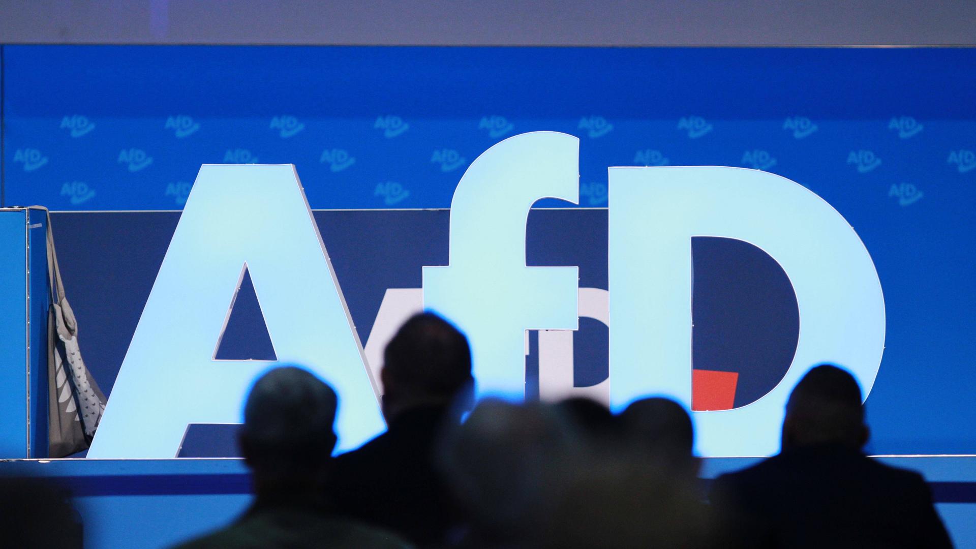 Delegierte sind als Schatten vor dem Logo der AfD auf der Europawahlversammlung in Magdeburg zu sehen. Delegierte sind als Schatten vor dem Logo der AfD auf der Europawahlversammlung in Magdeburg zu sehen.