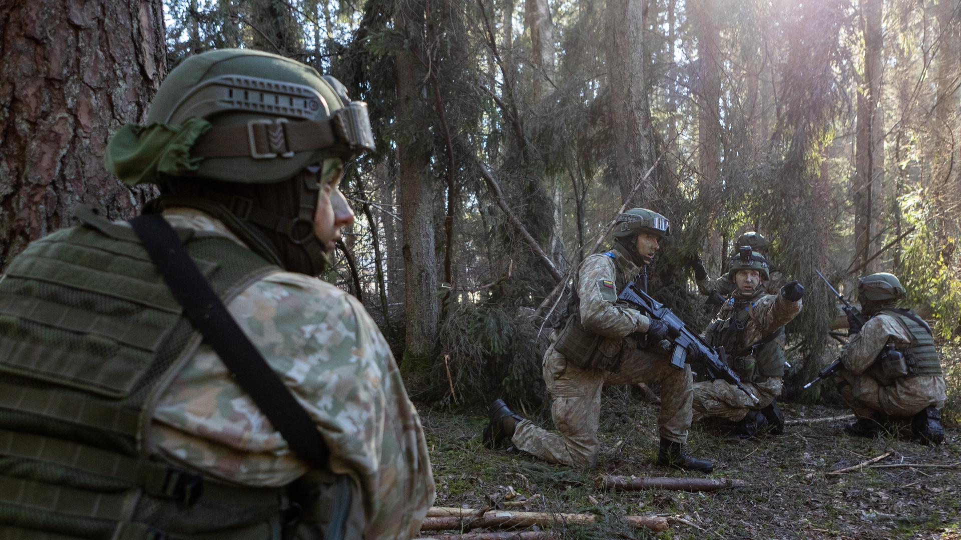 Bewaffnete Soldaten knien bei einem militärischen Übung in einem Waldstück, um Deckung zu nehmen. Bewaffnete Soldaten knien bei einem militärischen Übung in einem Waldstück, um Deckung zu nehmen.