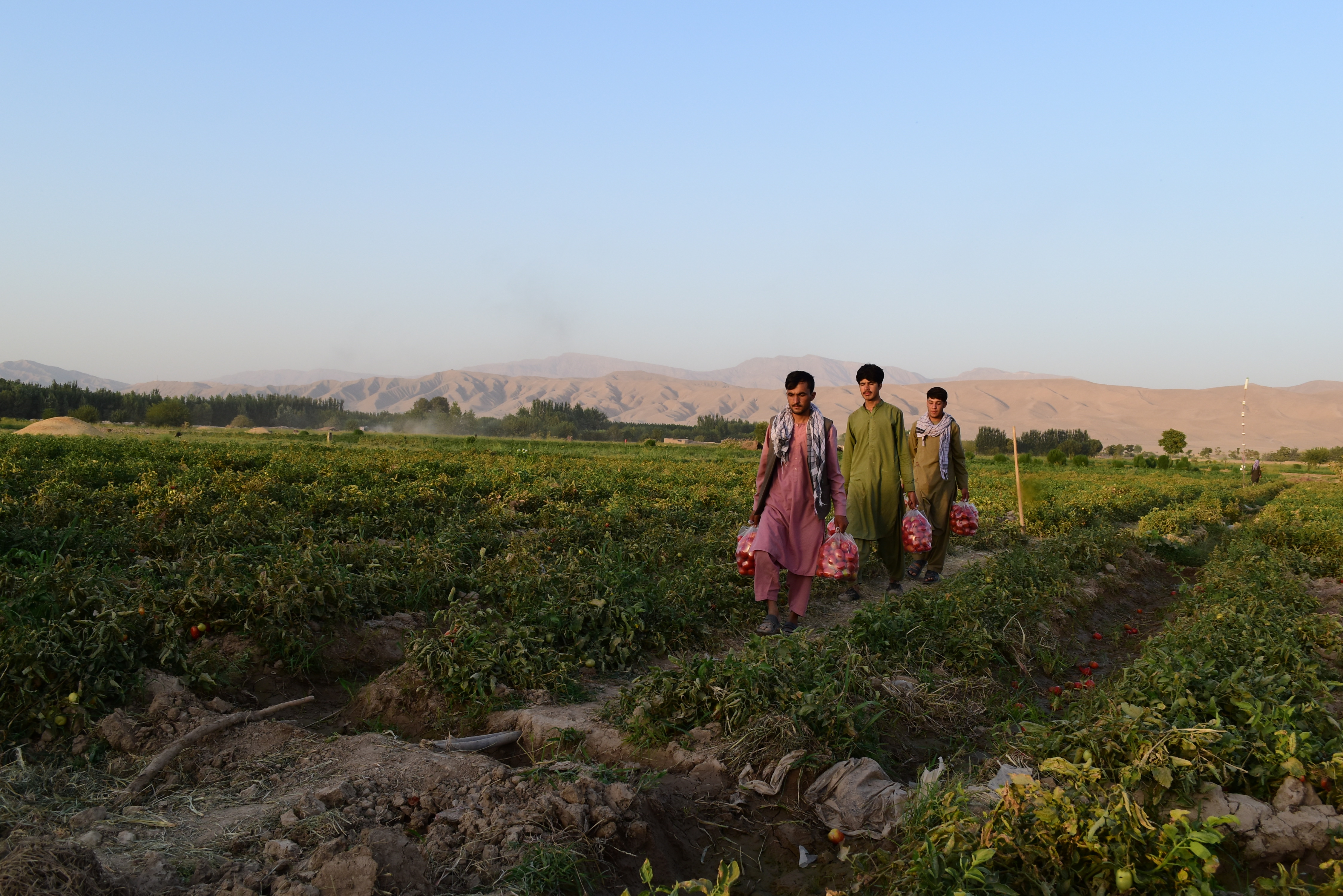 Roger Willemsens "Afghanische Reise" als Hörbuch Erkundungen in einem faszinierenden Land