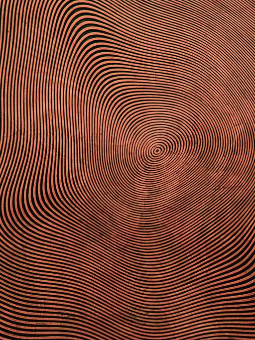 Das Bild zeigt ein Muster aus schwarzen und roten Kreisen. Anfangs sind die Kreise noch gleichförmig, dannn beulen sie nach außen hin mehr und mehr aus.