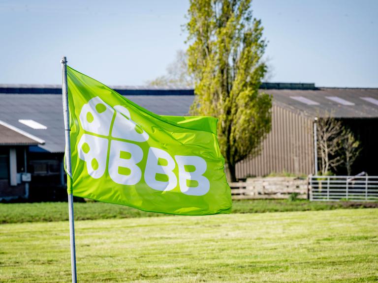 Vor einem Stall weht die grüne Fahne der BoerBurgerBeweging. Darauf sind drei Bs und ein Kleeblatt.