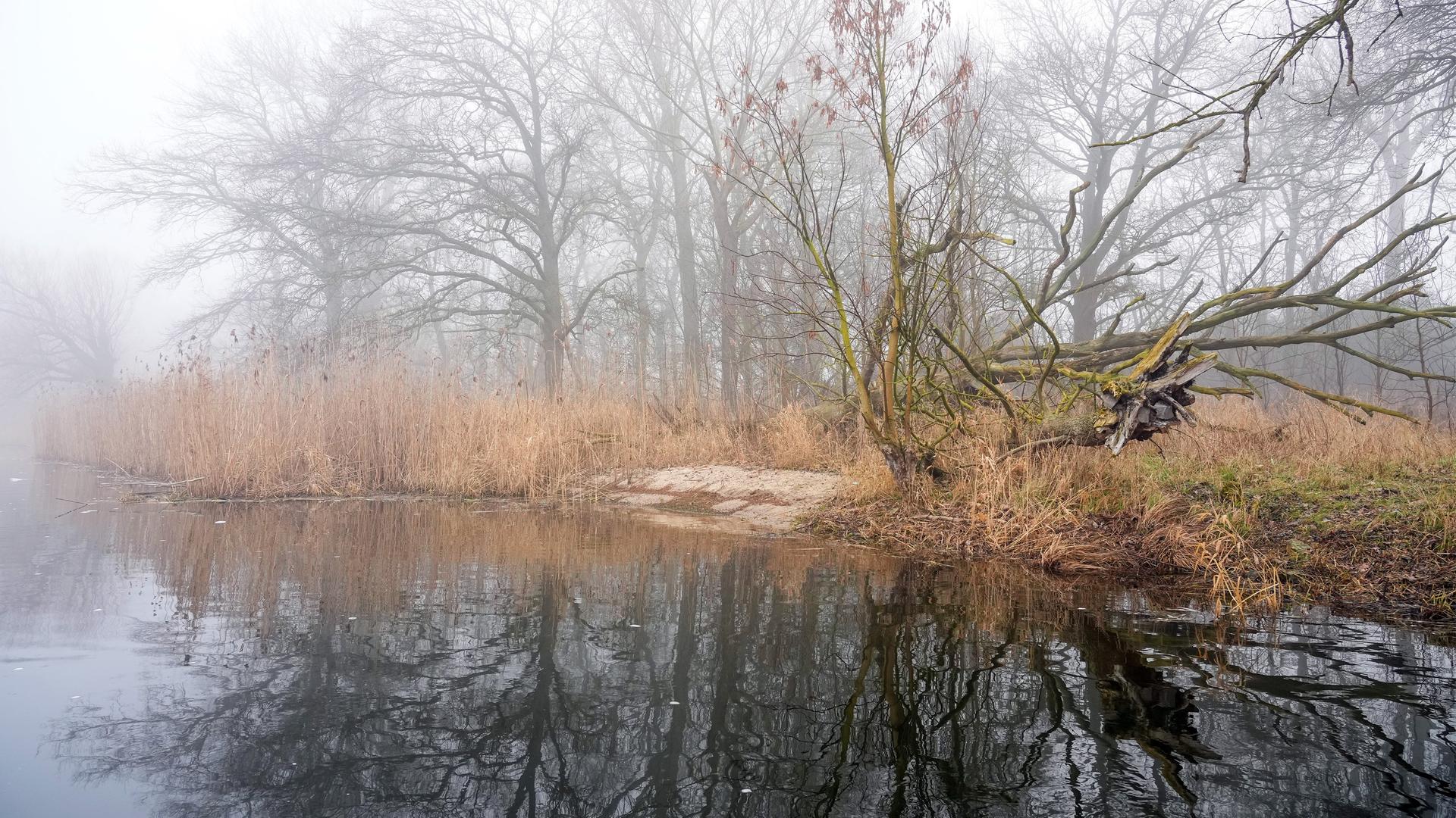 Das Bild zeigt einen Teil des Havel-Ufers, das renaturiert wurde. Steine wurden am Ufer der Unteren Havel durch Sand ersetzt