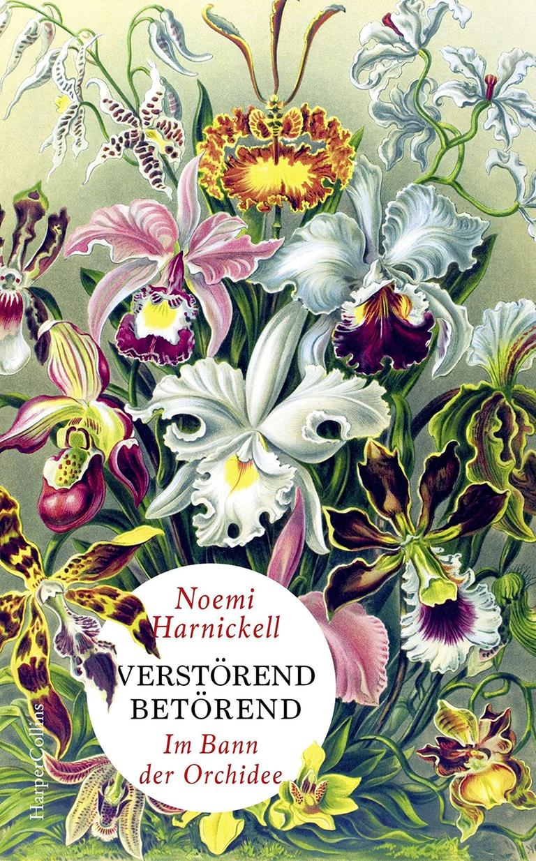 Noemi Harnickells Buch "Verstörend Betörend": Das Cover zeigt den Namen der Autorin und den Buchtitel vor dem Hintergrund einer künstlerisch-opulent gestalteten Orchideensammlung. Noemi Harnickells Buch "Verstörend Betörend": Das Cover zeigt den Namen der Autorin und den Buchtitel vor dem Hintergrund einer künstlerisch-opulent gestalteten Orchideensammlung.
