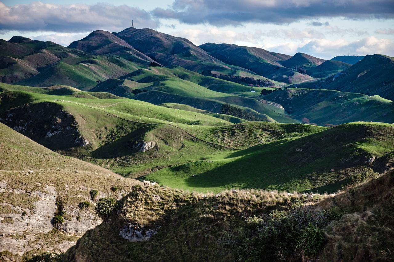 Ein weiter Blick von oben über eine grüne Landschaft mit vielen Hügel und Bergen. Ein weiter Blick von oben über eine grüne Landschaft mit vielen Hügel und Bergen.