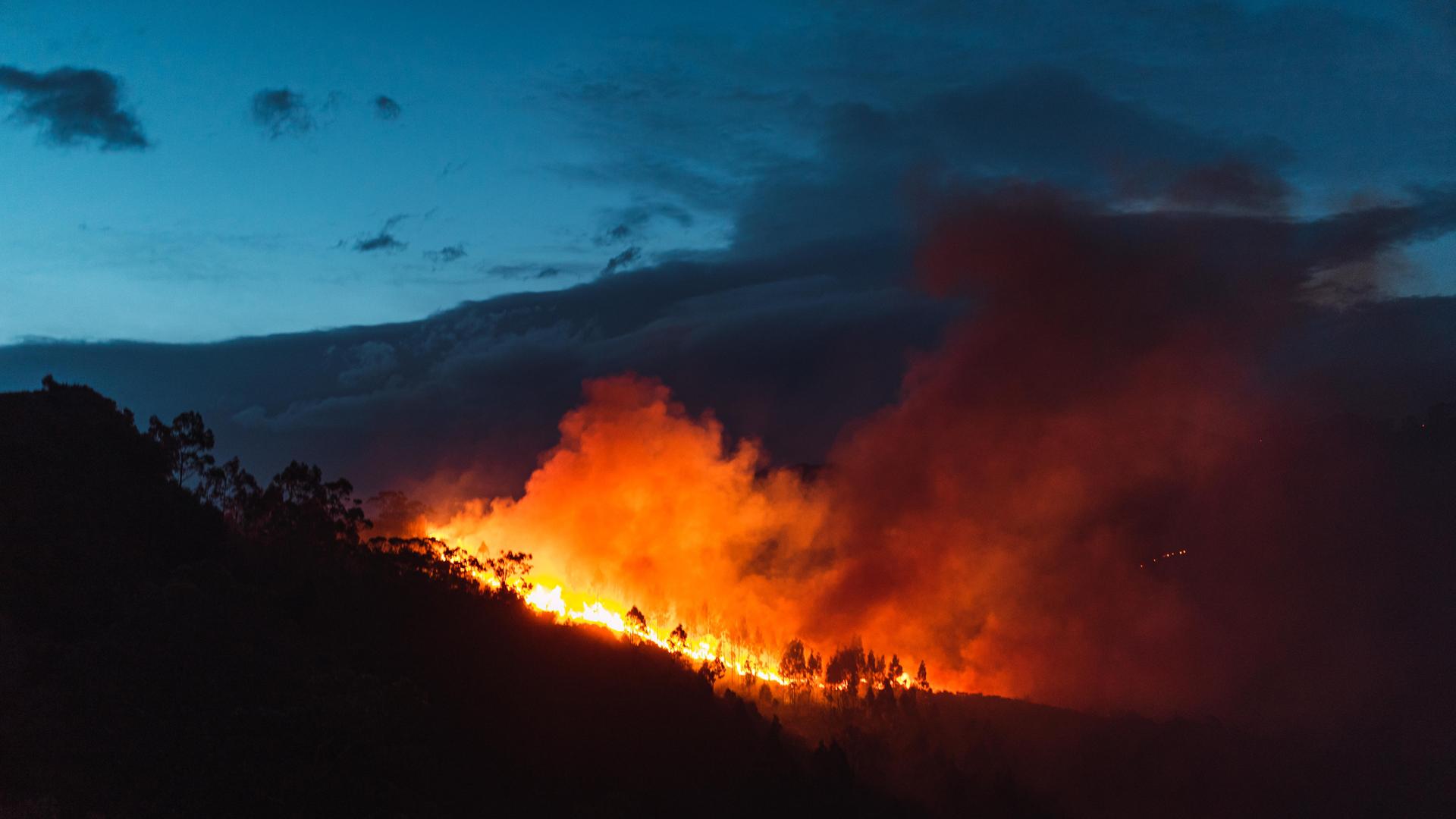 Waldbrand Waldbrand