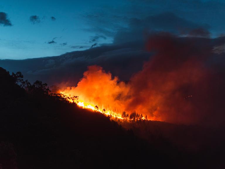 Waldbrand