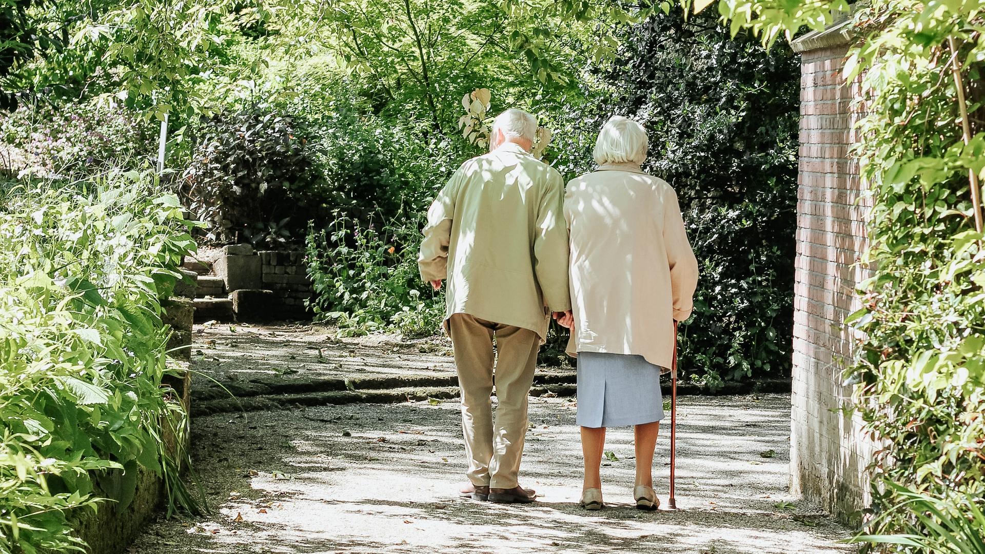 Zwei ältere Personen laufen Hand in Hand über einen Weg, umgeben von Grün. Zwei ältere Personen laufen Hand in Hand über einen Weg, umgeben von Grün.