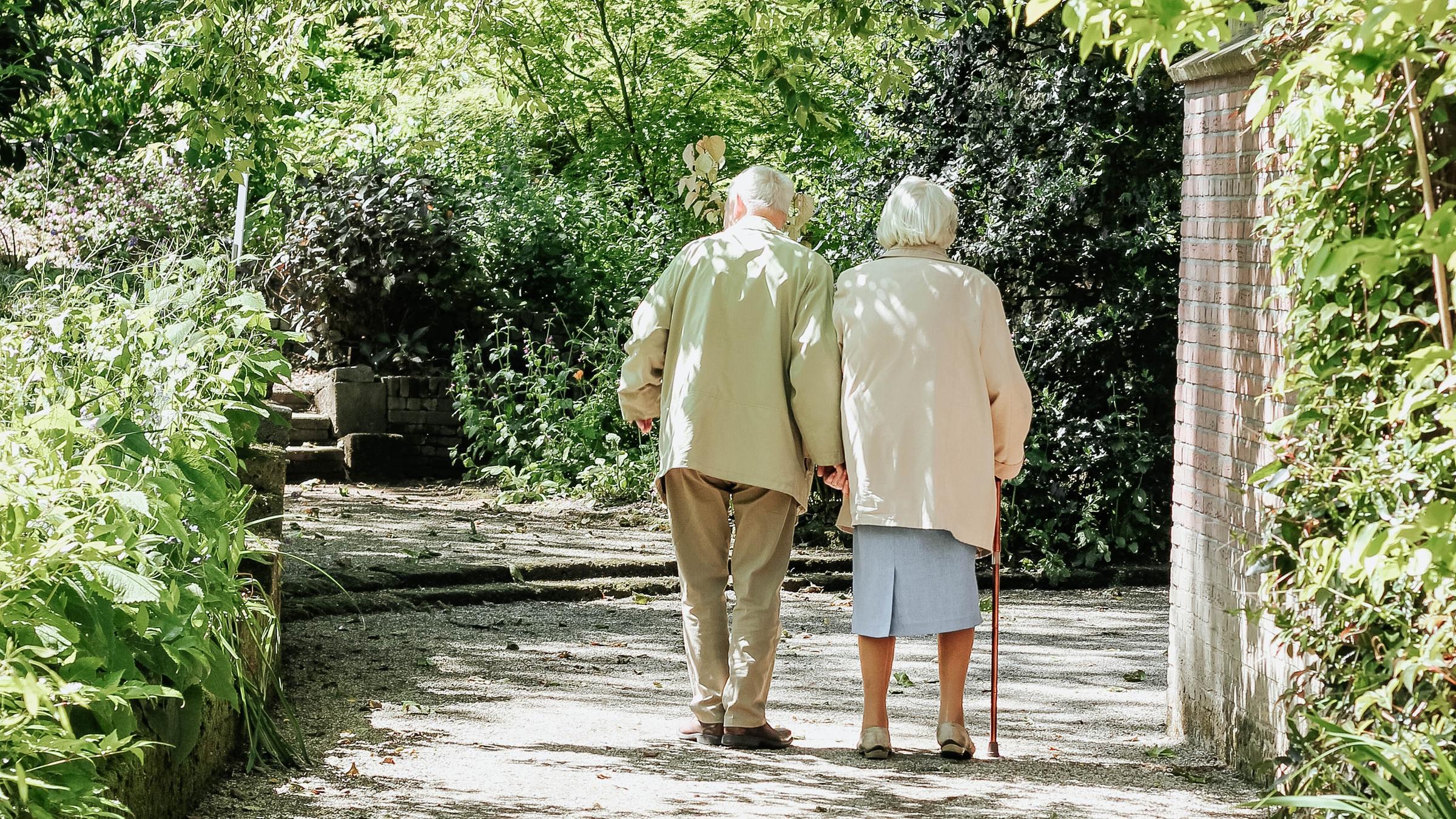 Zwei ältere Personen laufen Hand in Hand über einen Weg, umgeben von Grün. Zwei ältere Personen laufen Hand in Hand über einen Weg, umgeben von Grün.