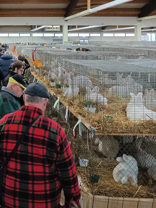 Besucherinnen und Besucher zwängen sich durch einen engen Gang an den Käfigen mit ausgestellten Kaninchen vorbei.