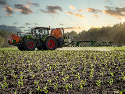 Ein Traktor bringt Pflanzenschutzmittel auf einem Maisfeld aus