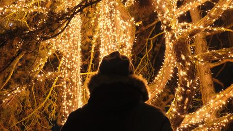 Rückenansicht einer Person, vor leuchtenden, mit Lichteketten behangenen Bäumen.
