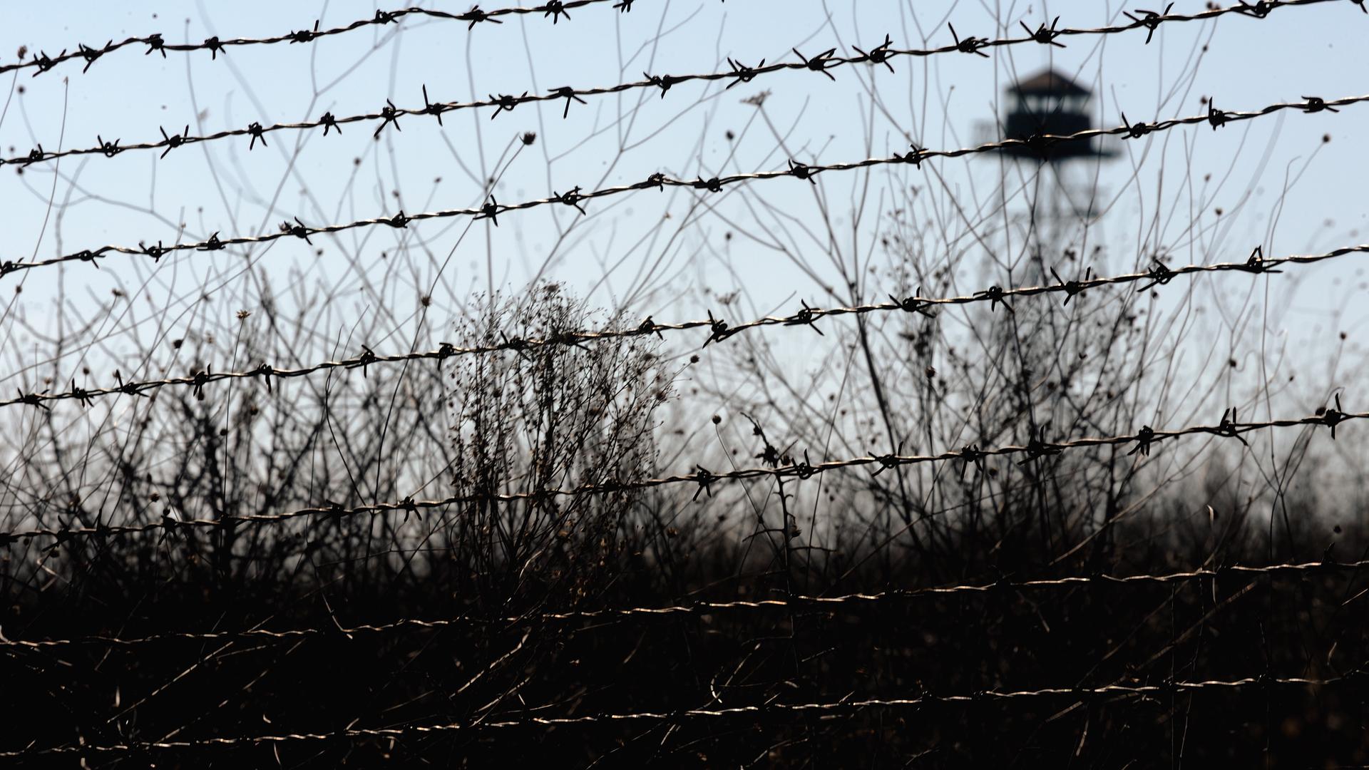 Kommentar zur EU-Asylpolitik - Europa fehlt eine Strategie zum Umgang mit Migration