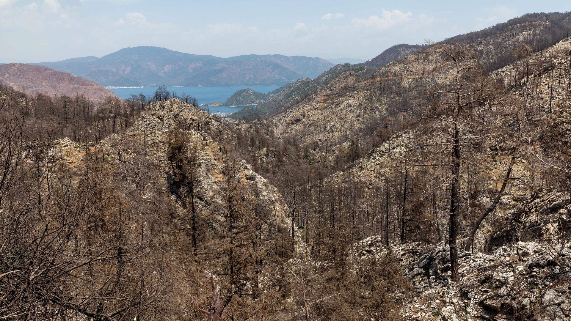 Blick über die Region Marmaris in der Türkei. Durch einen Waldbrand sind schon im letzten Jahr viele Bäume abgebrannt. Blick über die Region Marmaris in der Türkei. Durch einen Waldbrand sind schon im letzten Jahr viele Bäume abgebrannt.