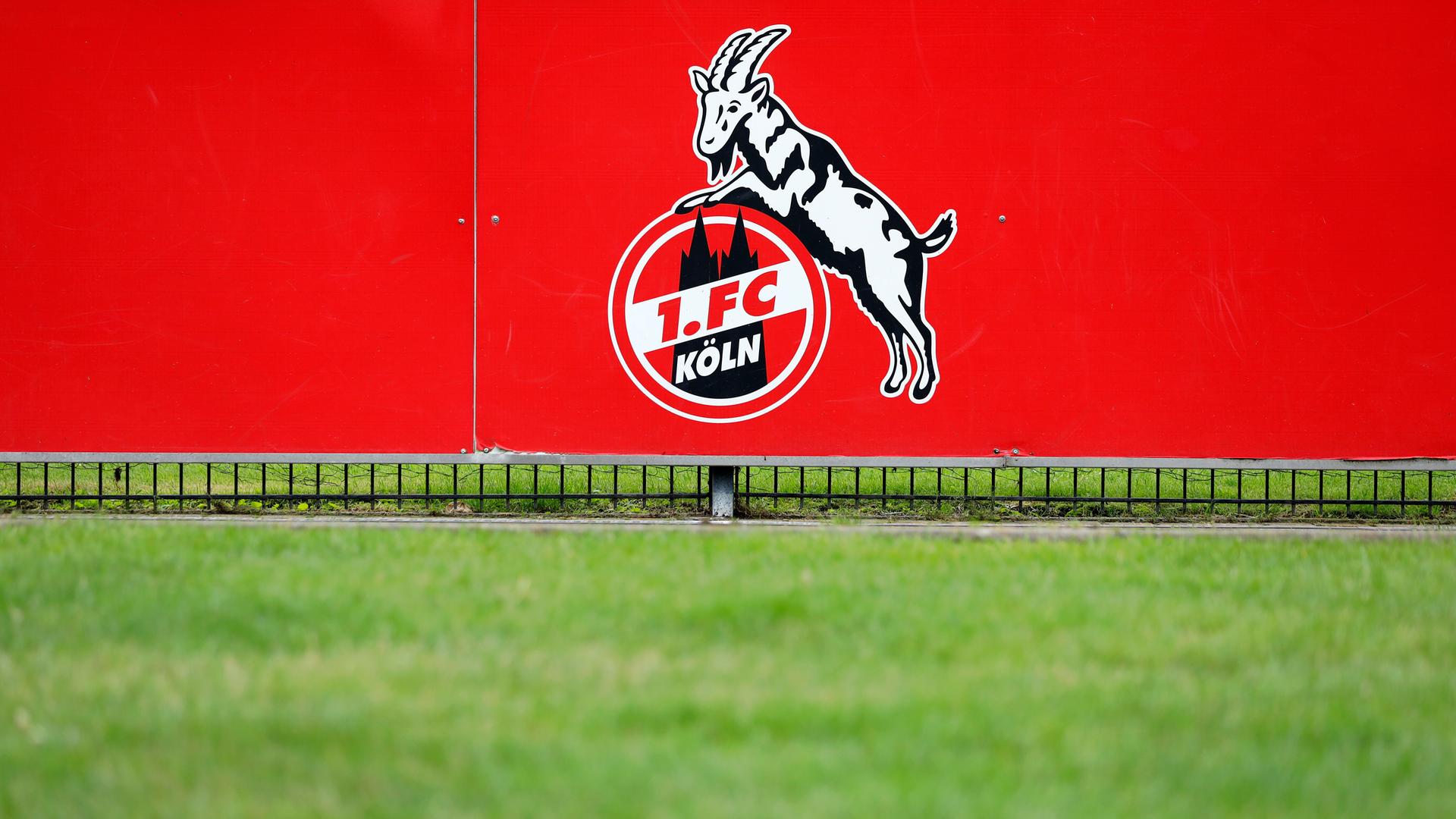 Logo des 1. FC Köln auf einem Trainingsplatz. Logo des 1. FC Köln auf einem Trainingsplatz.