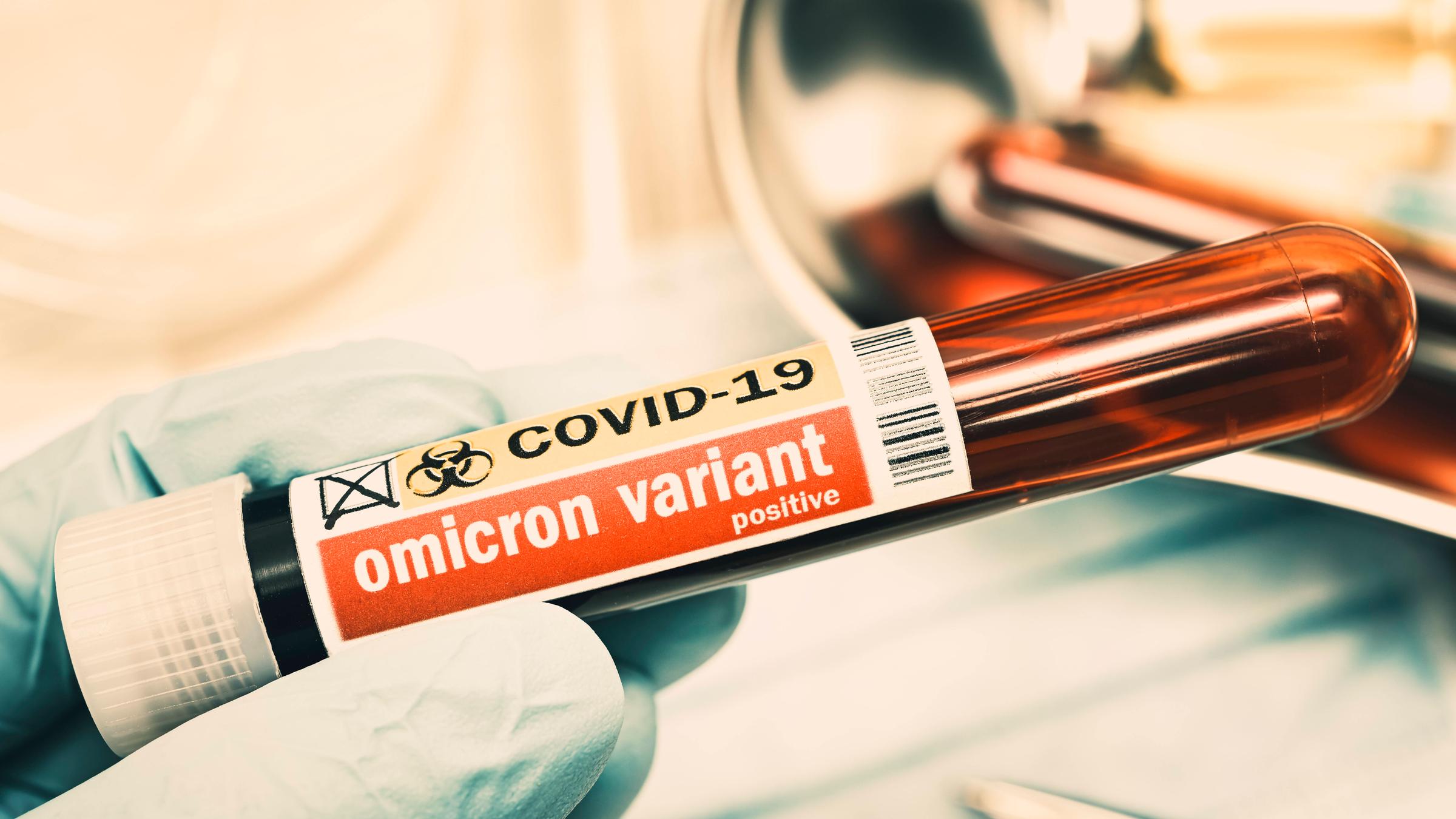 Ein Blutentnahmeröhrchen mit der Aufschrift "Omicron variant"...</p>

                        <a href=