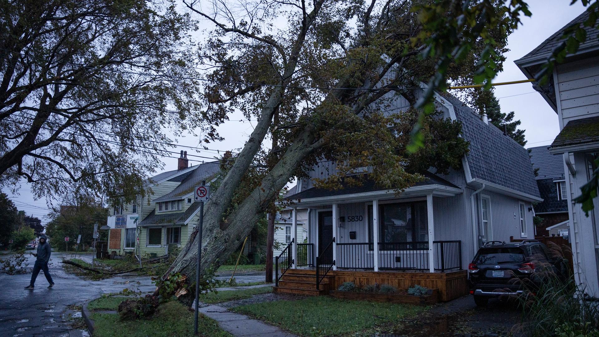 Ein umgestürzter Baum liegt auf einem Haus, nachdem der Wirbelsturm "Fiona" an der kanadischen Ostküste Schäden verursacht hat. Ein umgestürzter Baum liegt auf einem Haus, nachdem der Wirbelsturm "Fiona" an der kanadischen Ostküste Schäden verursacht hat.