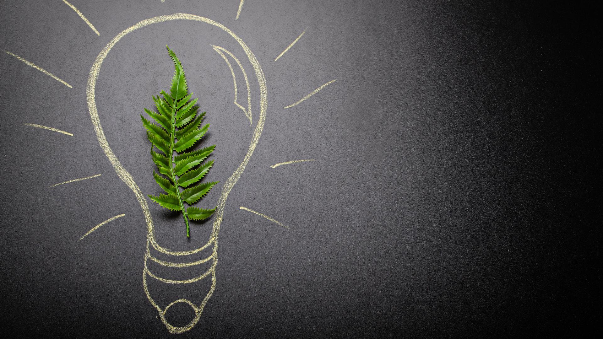 Grafische Darstellung: Eine Glühlampe mit grünem Blatt darin. Grafische Darstellung: Eine Glühlampe mit grünem Blatt darin.
