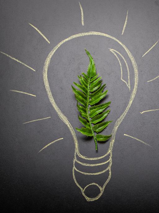 Grafische Darstellung: Eine Glühlampe mit grünem Blatt darin.
